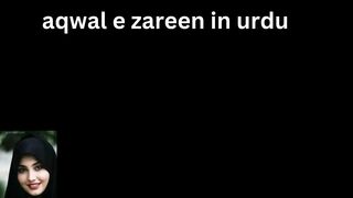 aqwal e zareen in urdu 9