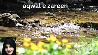 aqwal e zareen in urdu 11