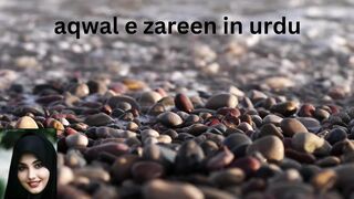 aqwal e zareen in urdu 12