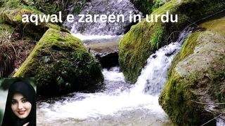 aqwal e zareen in urdu 13