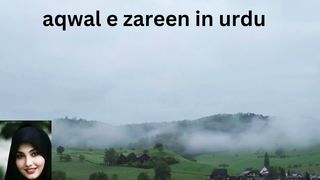 aqwal e zareen in urdu 14