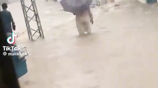 Funny video spot me bhai log 313