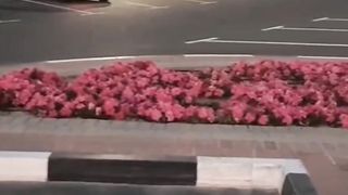 Al mamzar Corniche Dubai view