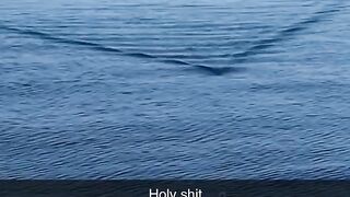 Big fish 7