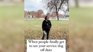 Funniest Animals Video - Best Cats???? and Dogs???? Videos of 2023 4