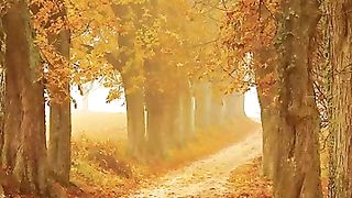 ✅Música para purificar o ambiente e alma- Paz interior e harmonia #Shorts
