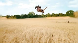 Sky Fly