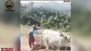 Out of school results