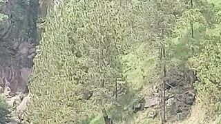 Kashmir  view ????