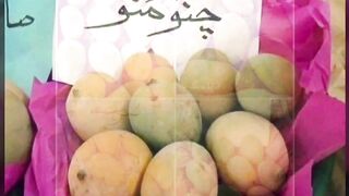 Types of mangoes and name in urdu