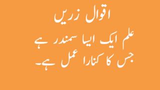 aqwal e zareen in urdu 17