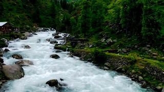 Nature 95