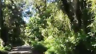 Jalan menuju gunung Bromo,melewati hutan