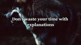 Morning Motivation For Everyone