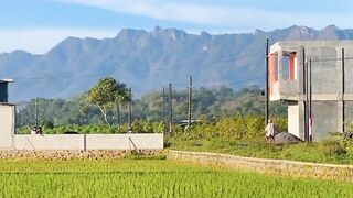 Alam Indonesia 10