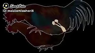 Reproduction in birds