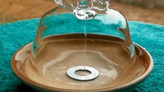 Mesmerizing videos in slow motion!