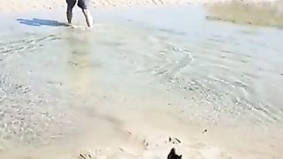 Cat swimming in the river