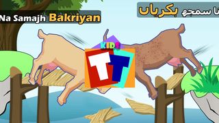 Na Samajh Bakriyan