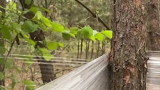 Tent in the forest