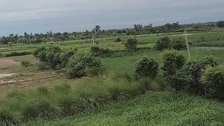 Vlog| Beautiful weather | Rural life