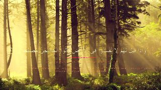 surah al baqarah|#shortvideo