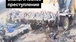 ПОЙНТ МОЛДОВА  20 ЮЛИ