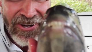 Fish With Human Like Teeth #shorts