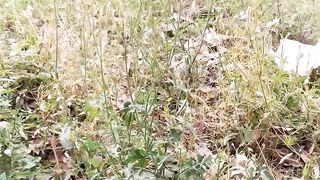 How a butterfly rest after her flight ❤️