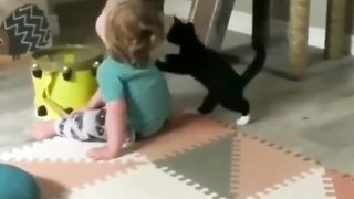 Top Funny Cute Kitten Random Viral Reels????||
