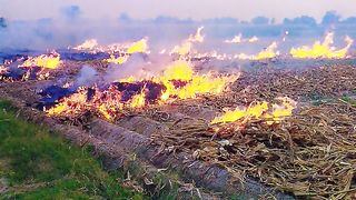 Fire in fields