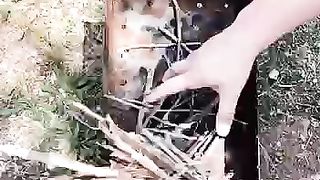 Nice.Cooking kebabs in nature????