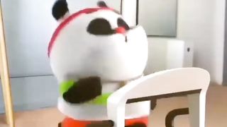 Funny weight loss videos