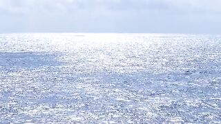 Houston Maritime Attorney
