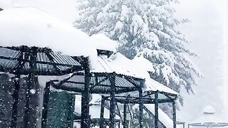 Barfbari beautiful full
