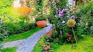 Beautiful today video my ferret Small