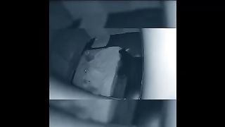 Funny cat video #1