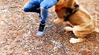 lion attack man scene