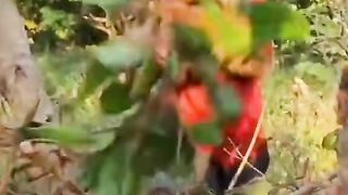 this woman collects caterpillars to cook and eat!!!