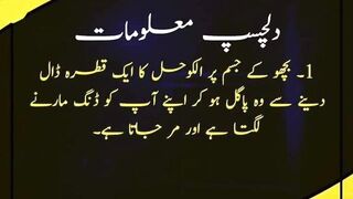 Dilchasp maloomaat Best urdu Quotes