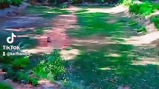 Pind village life beautiful scene ???? Latest poetry pinda waly