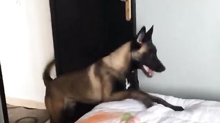 Защитник