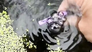 nature 20