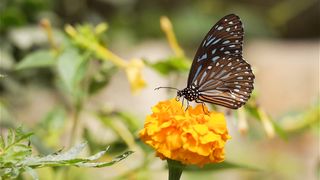 BEAUTIFUL VIEWS | ALLAH KI QUDRAT | BEAUTYFUL WORDS | BINTE HAWA |
