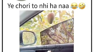 Funny video ???? 32