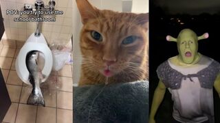 Funny TikToks that make my Monday better 66