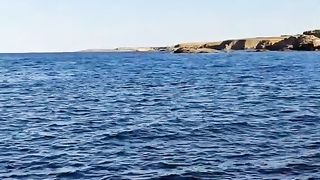 МОРЕТО