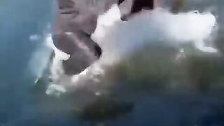 I Have Witnessed Love Down Super Funny Videos