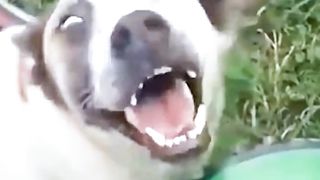 hold on laugh 2