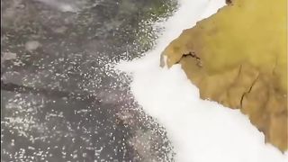 Resin table